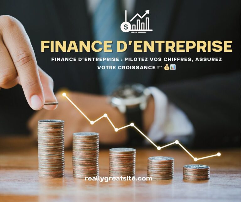Finance d&rsquo;entreprise 5 Modules