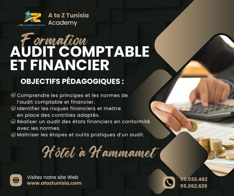 Audit Comptable et Financier